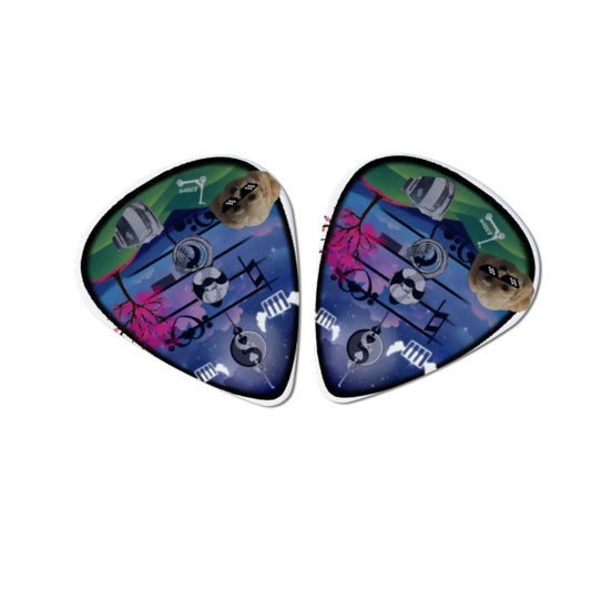 Custom Double Sided Photo Guitar Pick Perdonalized Musicians Gift for Boyfriend - 12pcs